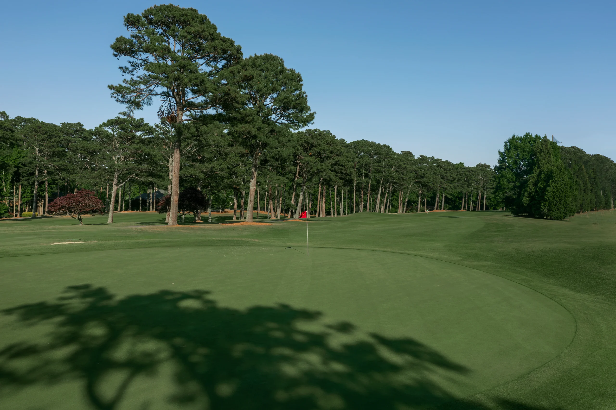 berkeleyhillscc 12