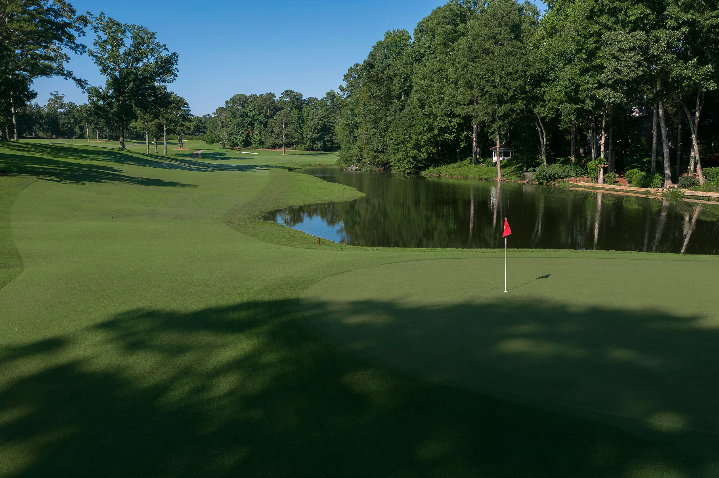 berkeleyhillscc 14